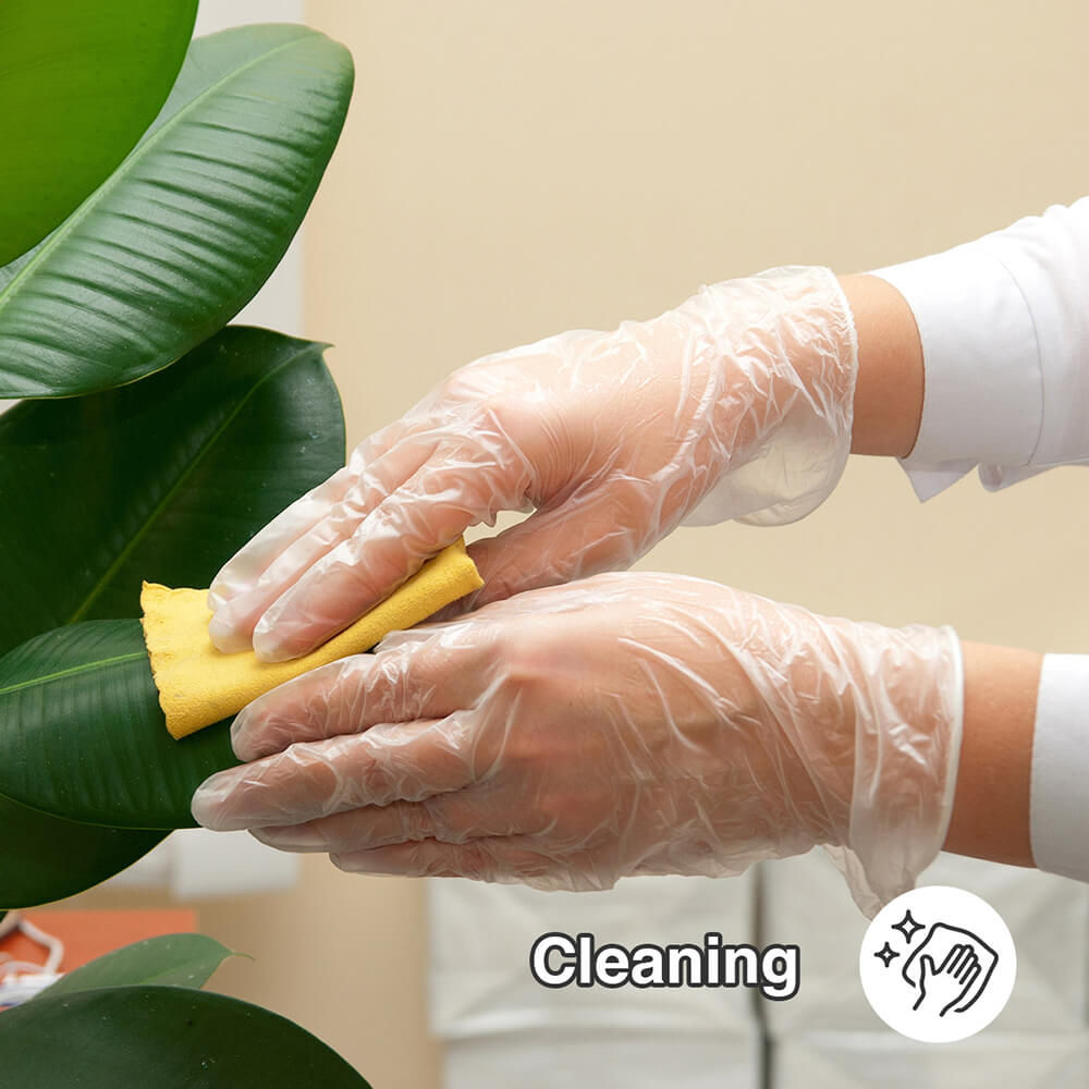 Kaygo-KG310-Disposable-Gloves-Cleaning